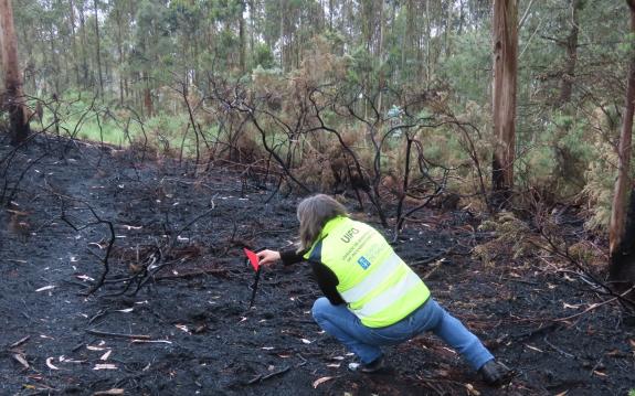 Imaxe da nova:A Unidade de Investigación de Incendios Forestais da Xunta identifica o presunto autor dun lume en Arteixo