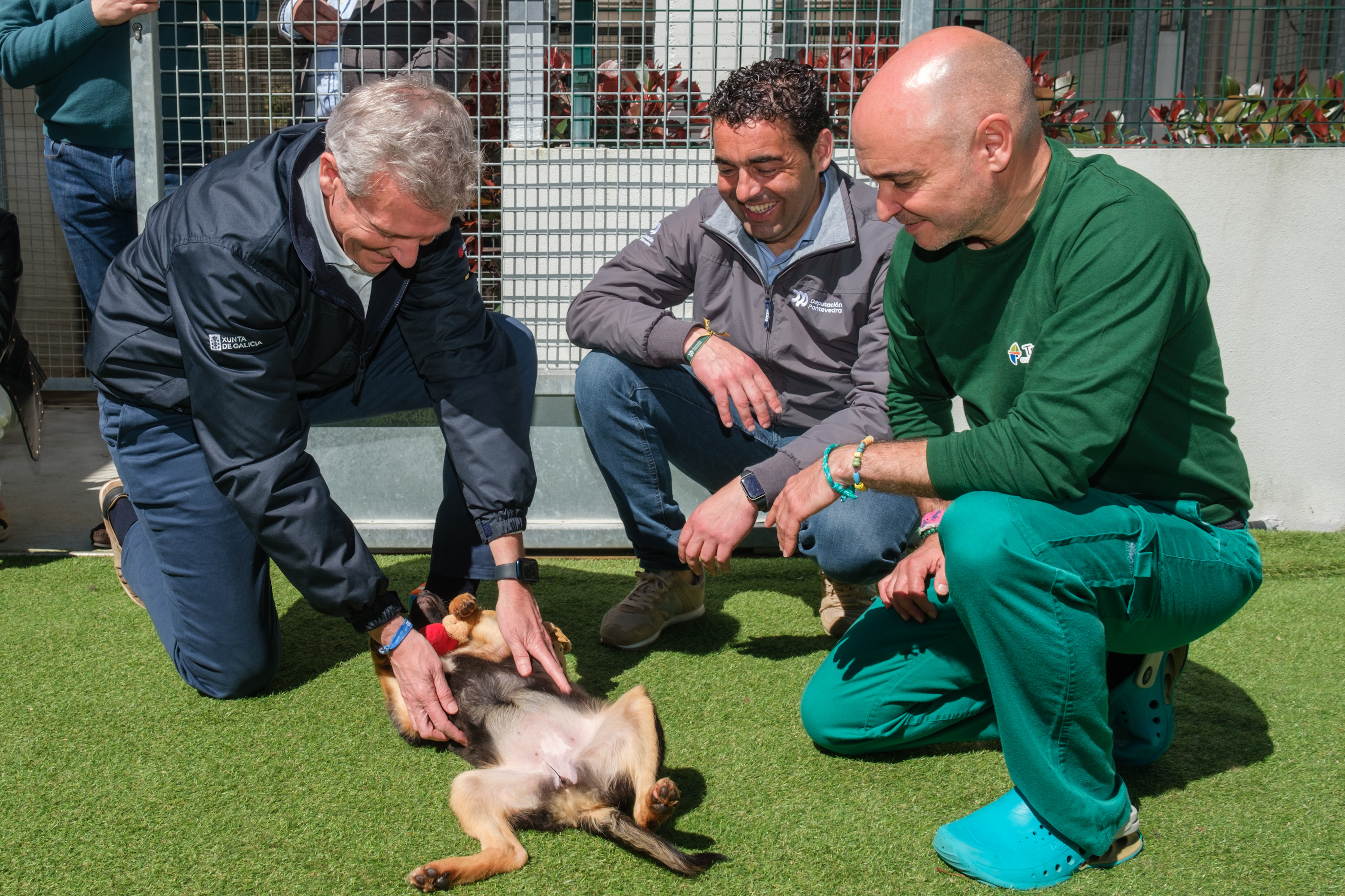Image 0 of article Rueda destaca que a Xunta lanzará nunhas semanas a orde de axudas para cubrir os primeiros gastos veterinarios tras adoptar un animal de compañía abandonado
