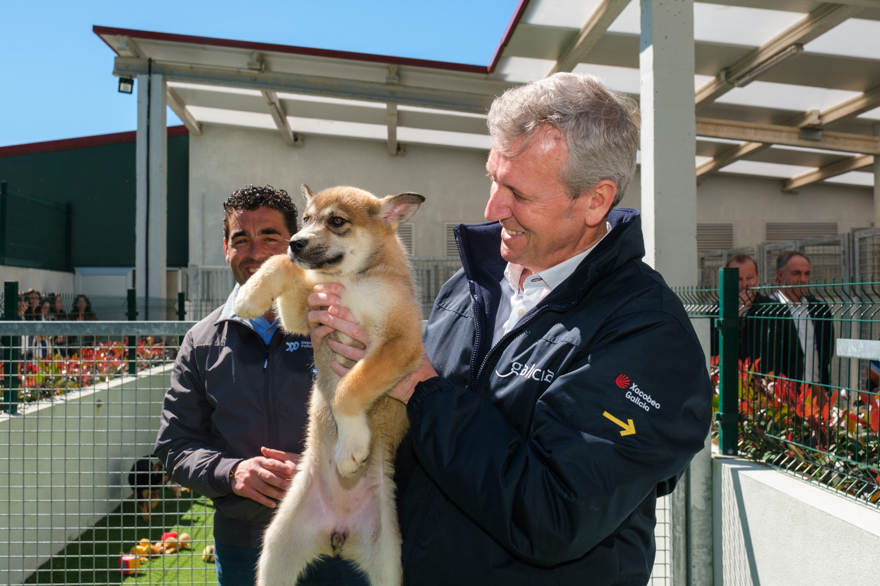 Image 1 of article Rueda destaca que a Xunta lanzará nunhas semanas a orde de axudas para cubrir os primeiros gastos veterinarios tras adoptar un animal de compañía abandonado