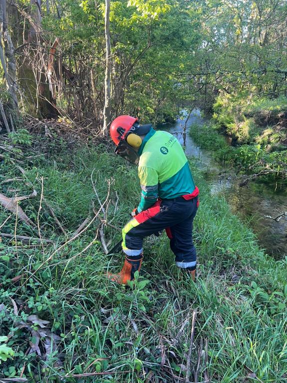 Imagen de la noticia:La Xunta realiza actuaciones de conservación y mantenimiento en el río Corzán, a su paso por Negreira