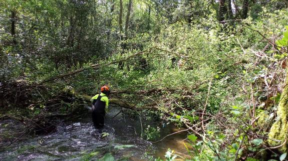 Imagen de la noticia:La Xunta realiza labores de conservación y mantenimiento en el río Grande, en los ayuntamientos de Carballo y Coristanco
