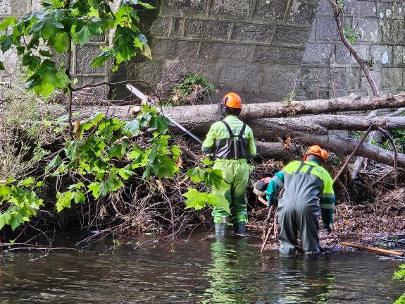 Imagen de la noticia:La Xunta realiza labores de conservación y mantenimiento en un tramo del río Umia a su paso por varios ayuntamientos